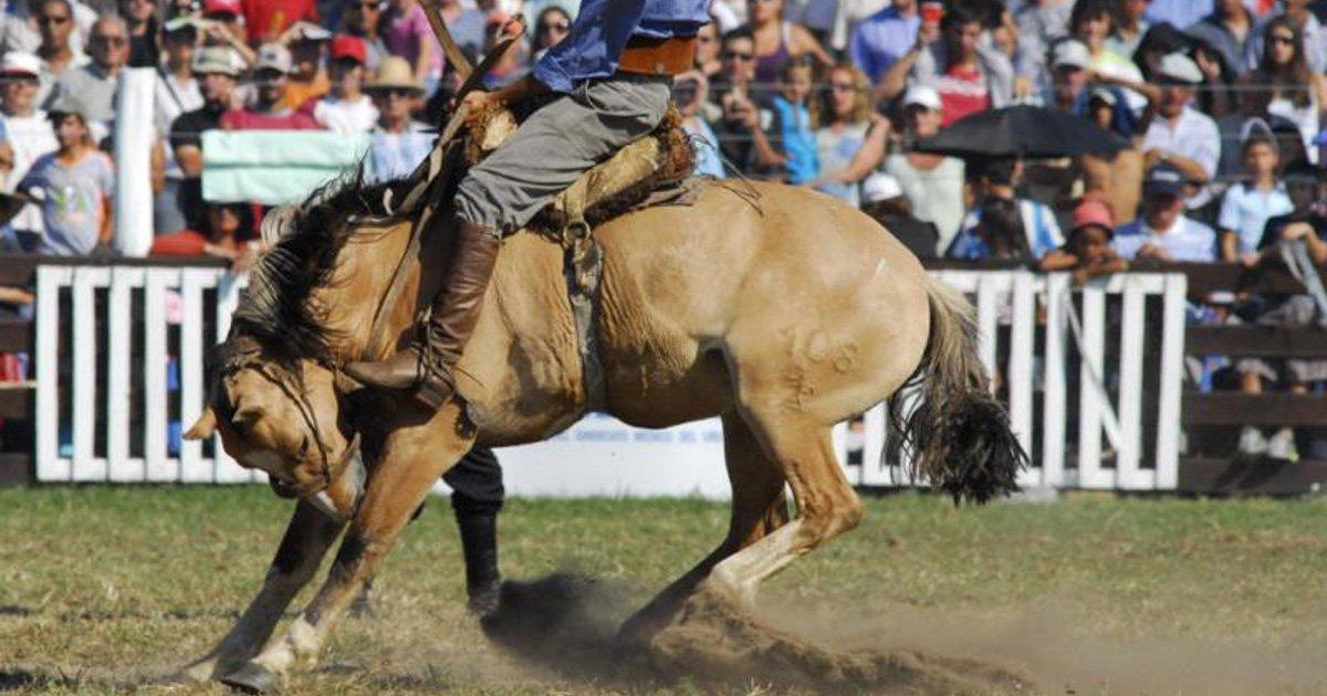 Semana De Turismo En Uruguay: ¿Por Qué Se Llama Así Y Qué Revela Sobre Su Laicidad? Semana De Turismo En Uruguay: ¿Por Qué Se Llama Así Y Qué Revela Sobre Su Laicidad?