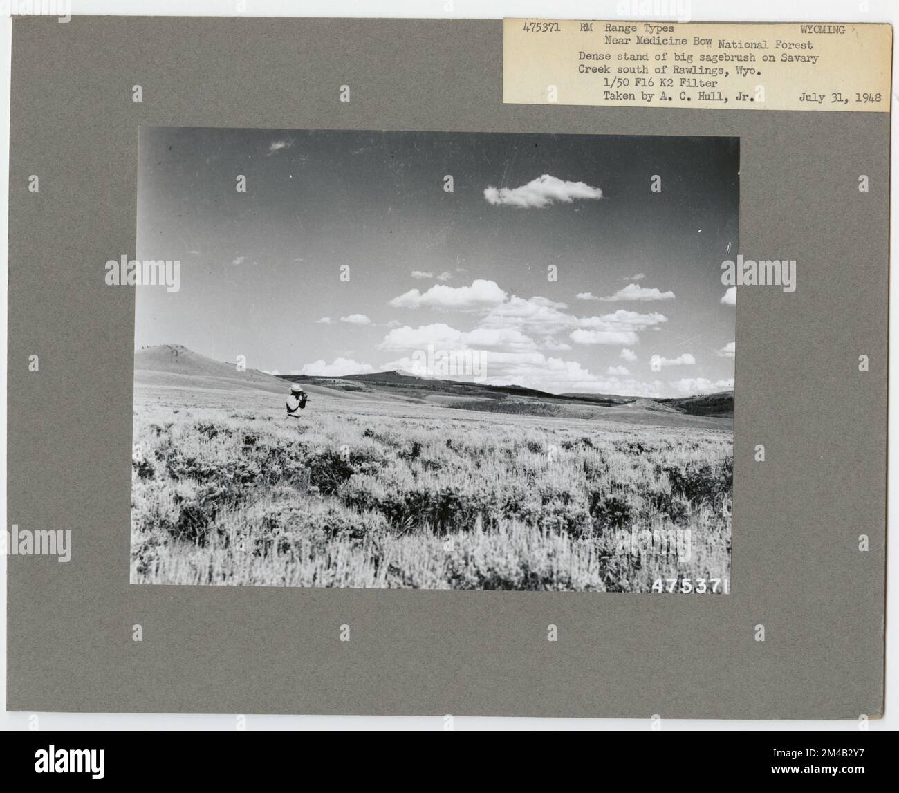 Shifting Priorities: Re-evaluating Otter Management Practices In Wyoming Shifting Priorities: Re-evaluating Otter Management Practices In Wyoming