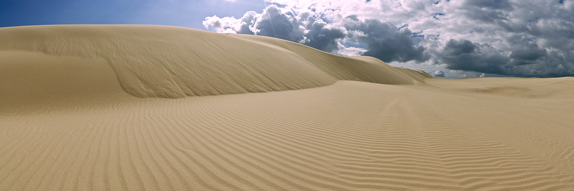 Shifting Sands: China's Search For Alternative Canola Sources Shifting Sands: China's Search For Alternative Canola Sources