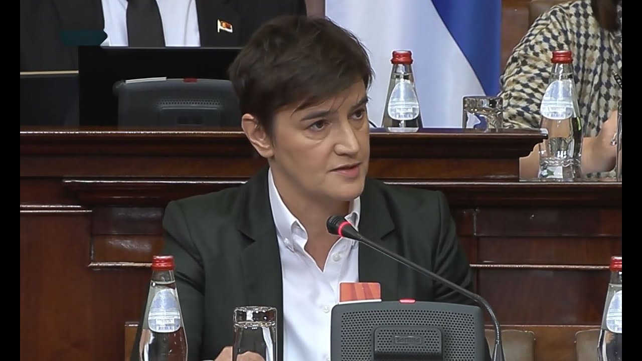 Шмитова Одговорност За Насиље Над Децом У БиХ: Тадићева Анализа Шмитова Одговорност За Насиље Над Децом У БиХ: Тадићева Анализа
