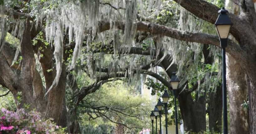 Shooting At Popular Southern Vacation Spot Prompts Safety Review Shooting At Popular Southern Vacation Spot Prompts Safety Review
