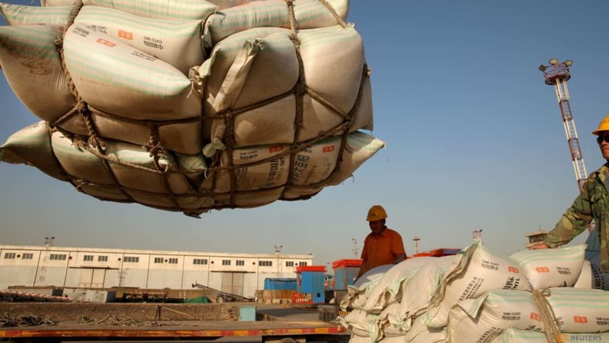Sinograin To Auction Imported Soybeans: Impact On China's Supply Sinograin To Auction Imported Soybeans: Impact On China's Supply