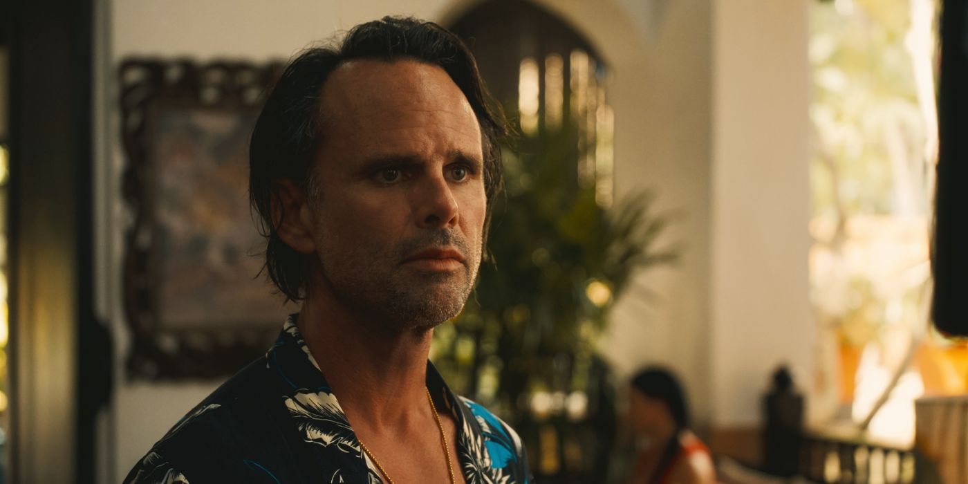 SNL: Walton Goggins Takes On Obsessive White Lotus Fan Theories SNL: Walton Goggins Takes On Obsessive White Lotus Fan Theories