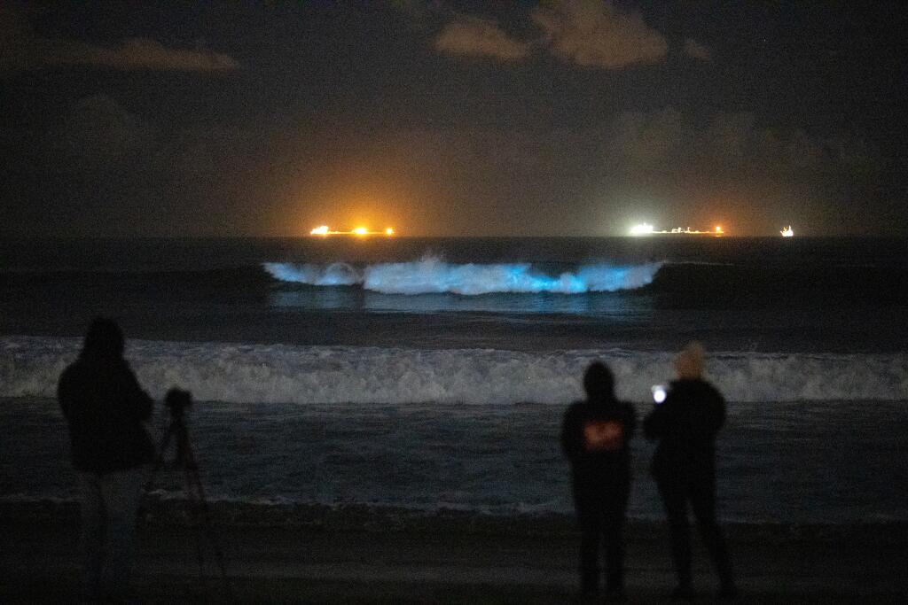 Spring And Fall: Best Times For Bioluminescent Waves In Southern California Spring And Fall: Best Times For Bioluminescent Waves In Southern California