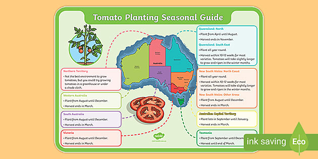 Successful Hyacinth Planting: A Seasonal Guide Successful Hyacinth Planting: A Seasonal Guide