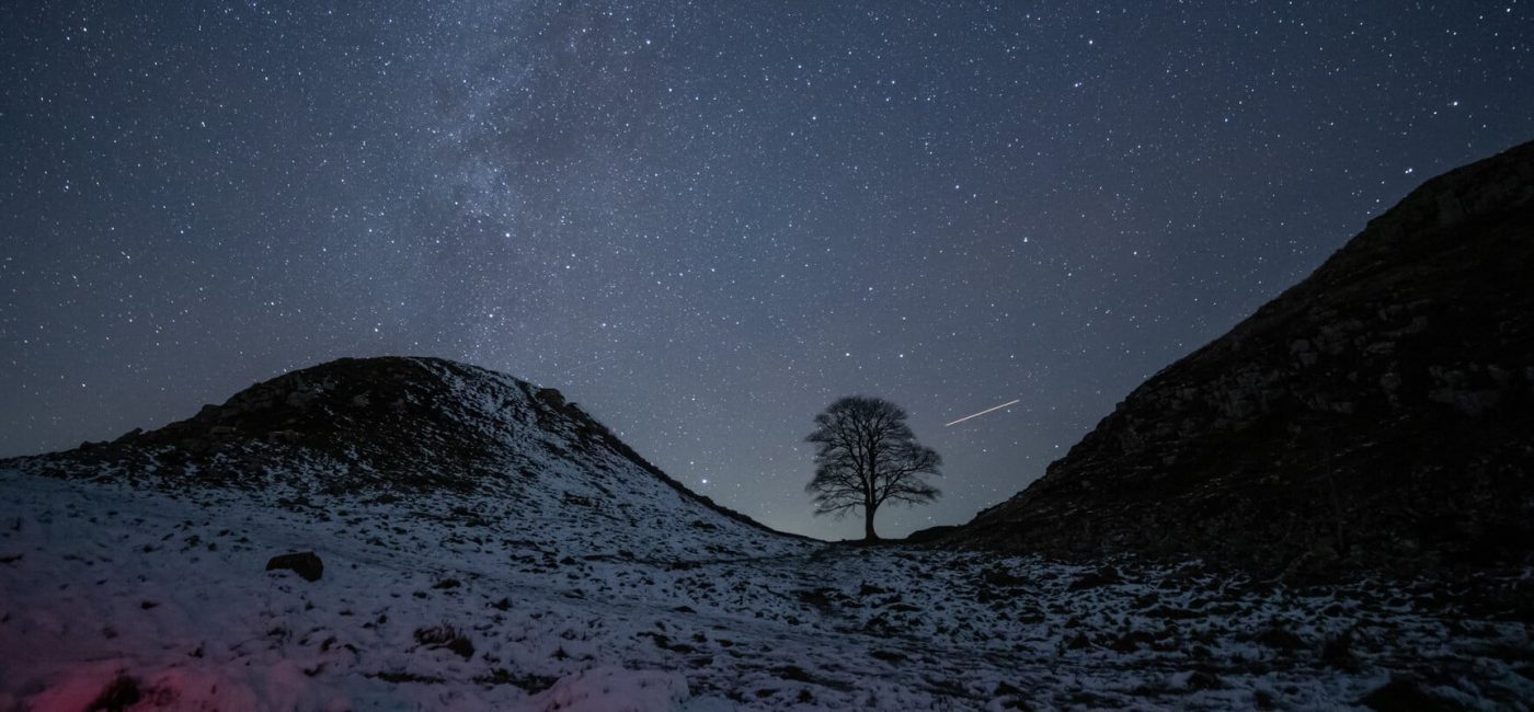 Sycamore Gap Tree Vandalism: Two Men Found Guilty Sycamore Gap Tree Vandalism: Two Men Found Guilty