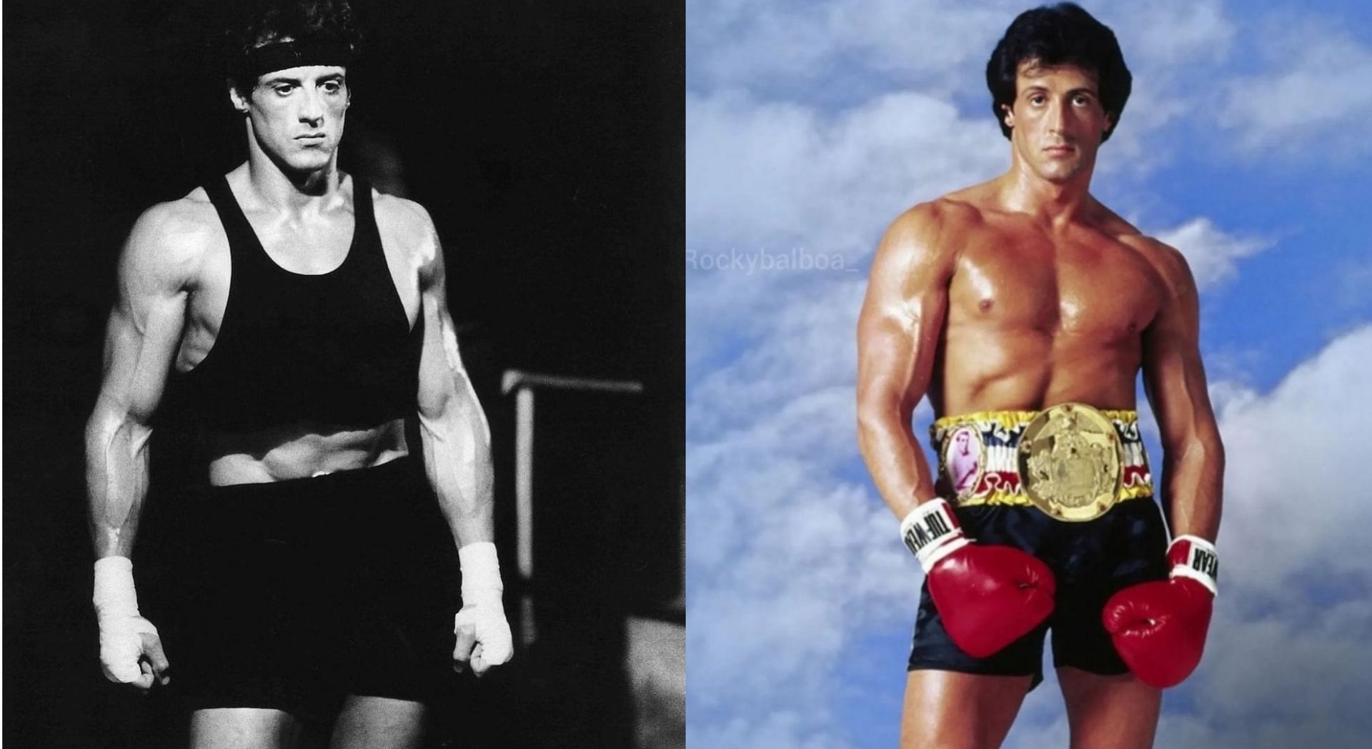 Sylvester Stallone A Visité Mon Atelier : Exposition D'une Artiste Reconnue Sylvester Stallone A Visité Mon Atelier : Exposition D'une Artiste Reconnue
