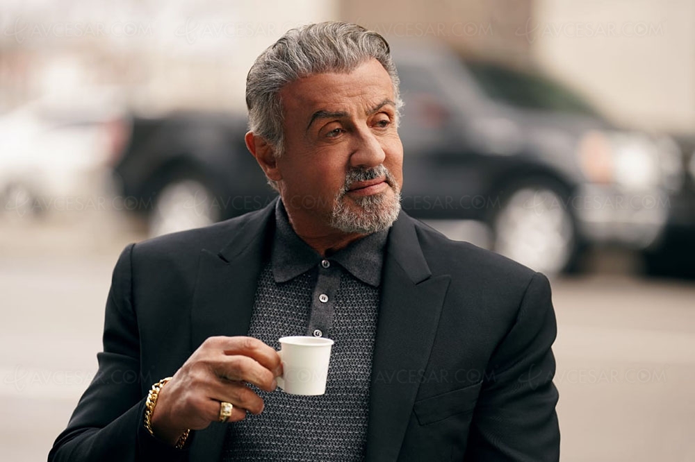 Sylvester Stallone Et Son Regret Sur Un Classique Du Thriller D'action Des Années 80 Sylvester Stallone Et Son Regret Sur Un Classique Du Thriller D'action Des Années 80