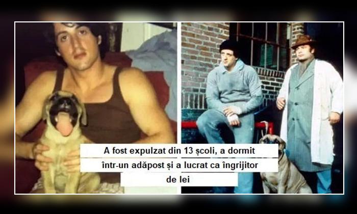 Sylvester Stallone Și Rocky: O Analiză Financiară Sylvester Stallone Și Rocky: O Analiză Financiară
