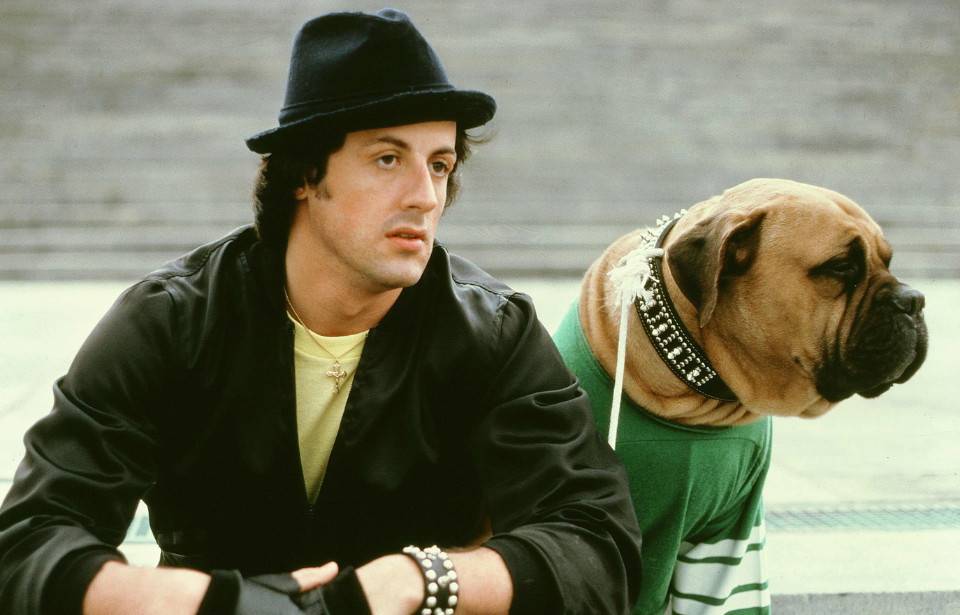 Sylvester Stallone's Career Choice: The Impact Of Turning Down Coming Home Sylvester Stallone's Career Choice: The Impact Of Turning Down Coming Home