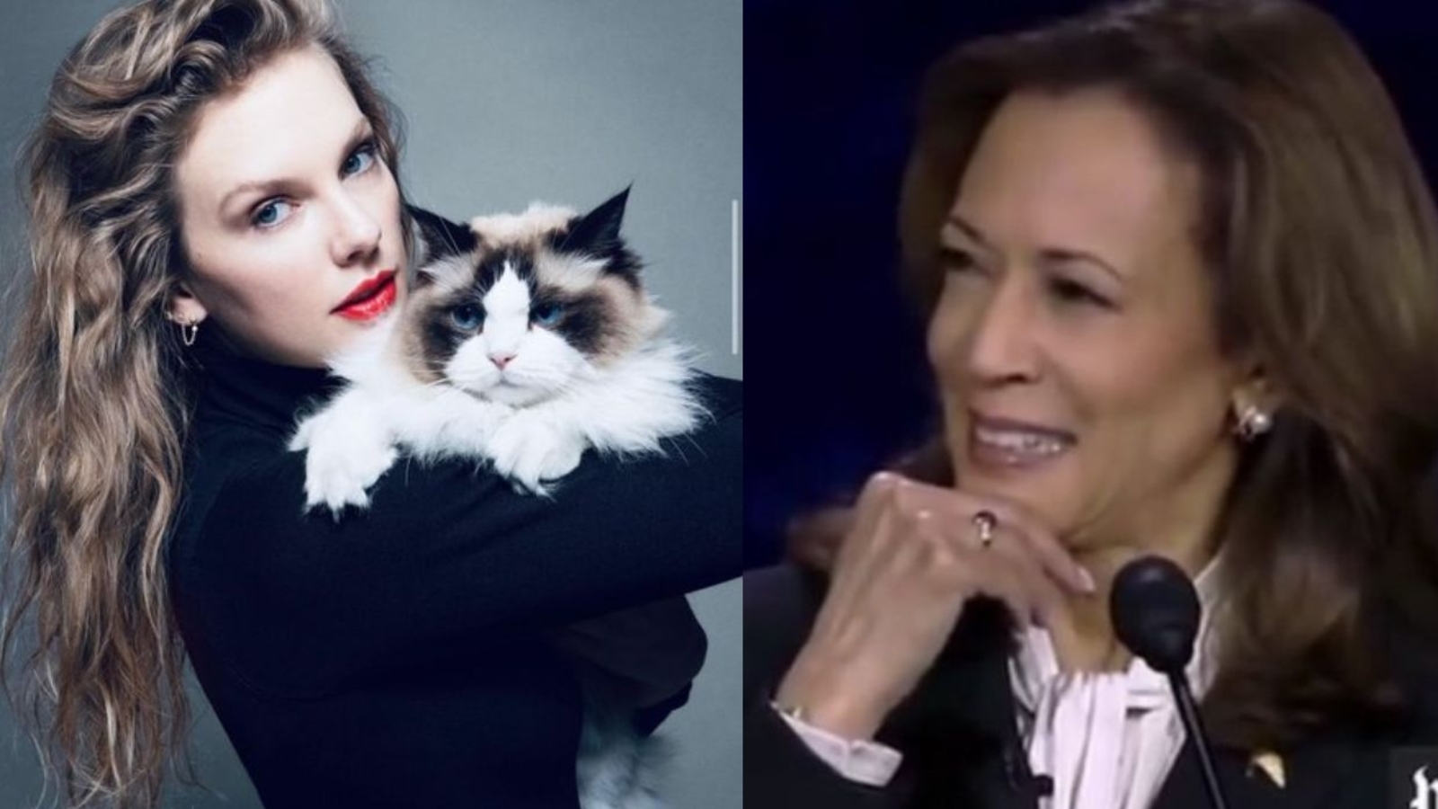 Taylor Swift's Status Questioned By Trump; MAGA Supporters React Taylor Swift's Status Questioned By Trump; MAGA Supporters React