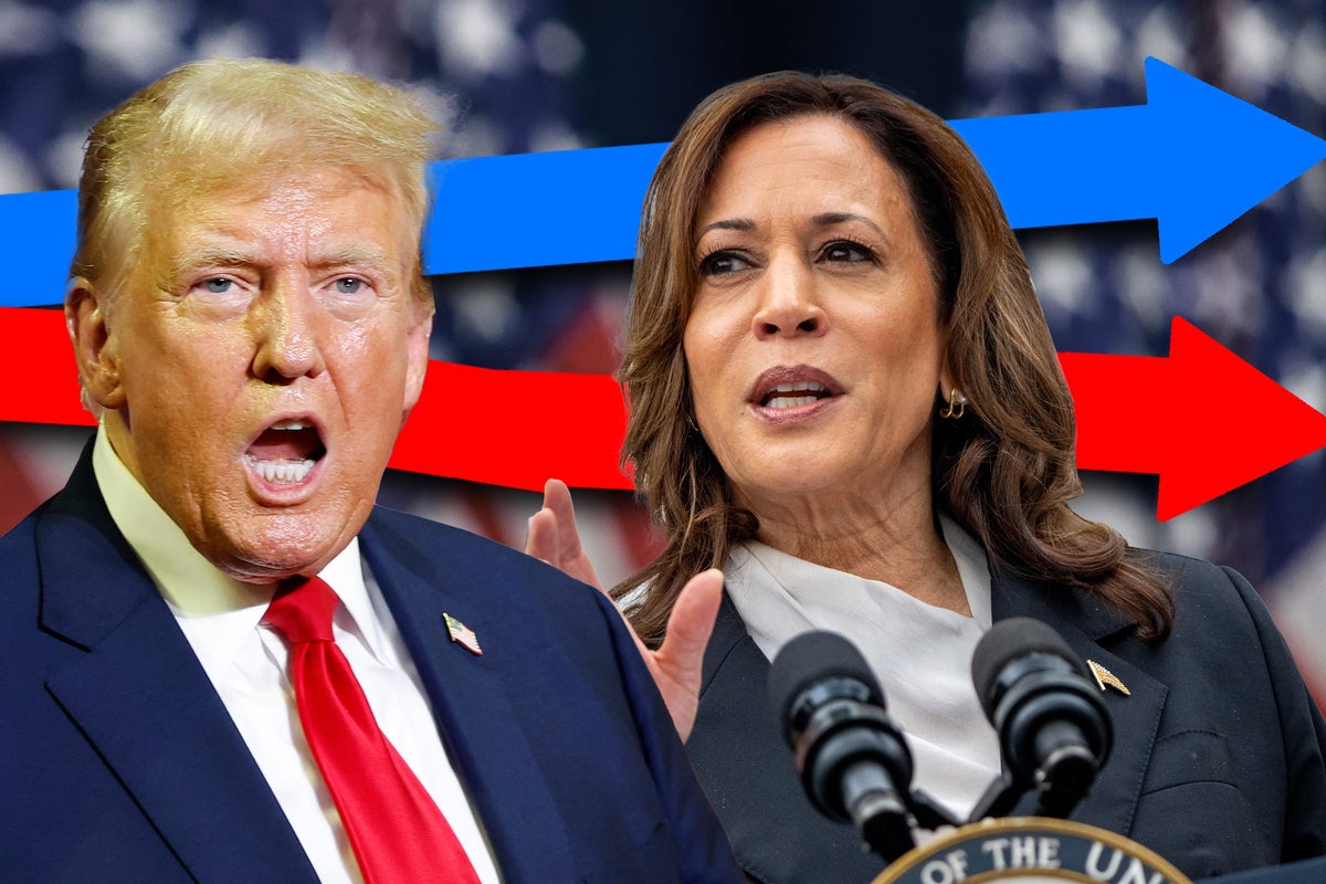 The 2024 Election: Trump's Criticism Of Biden's Understanding Of America The 2024 Election: Trump's Criticism Of Biden's Understanding Of America