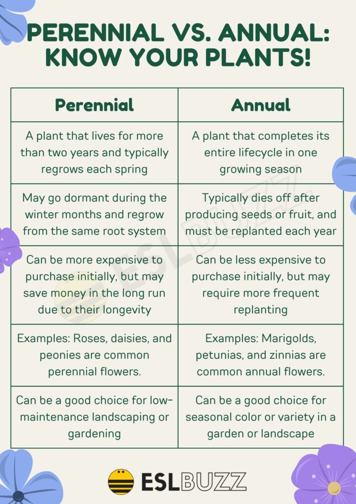 The Annual Vs. Perennial Debate: Which Flowers Should You Plant? The Annual Vs. Perennial Debate: Which Flowers Should You Plant?