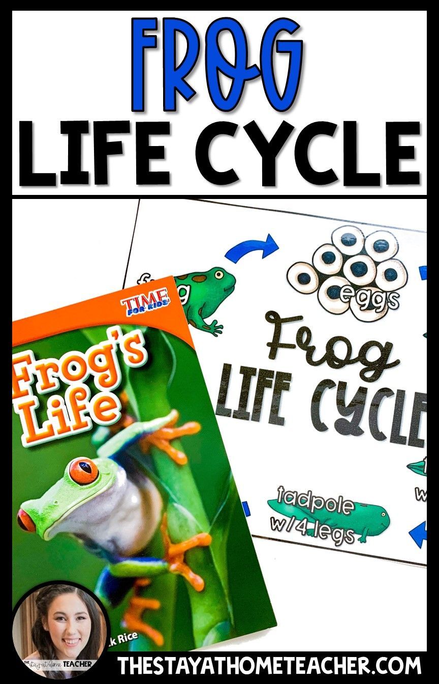 The Campus Farm: A Living Classroom For Life Cycle Studies The Campus Farm: A Living Classroom For Life Cycle Studies