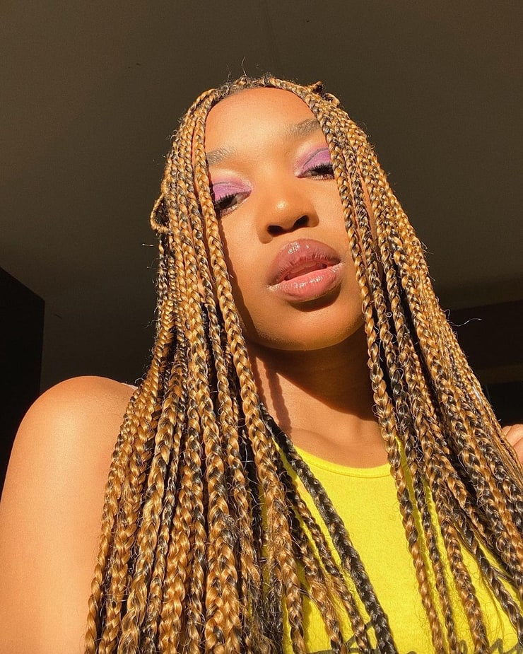 The Dangers Of Synthetic Hair Braids: A Health Risk Assessment For Black Women The Dangers Of Synthetic Hair Braids: A Health Risk Assessment For Black Women