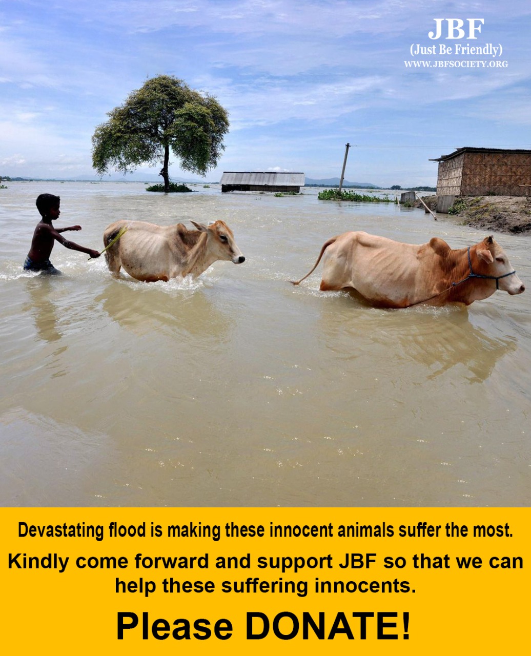 The Devastating Effects Of Flooding On Livestock And Their Welfare