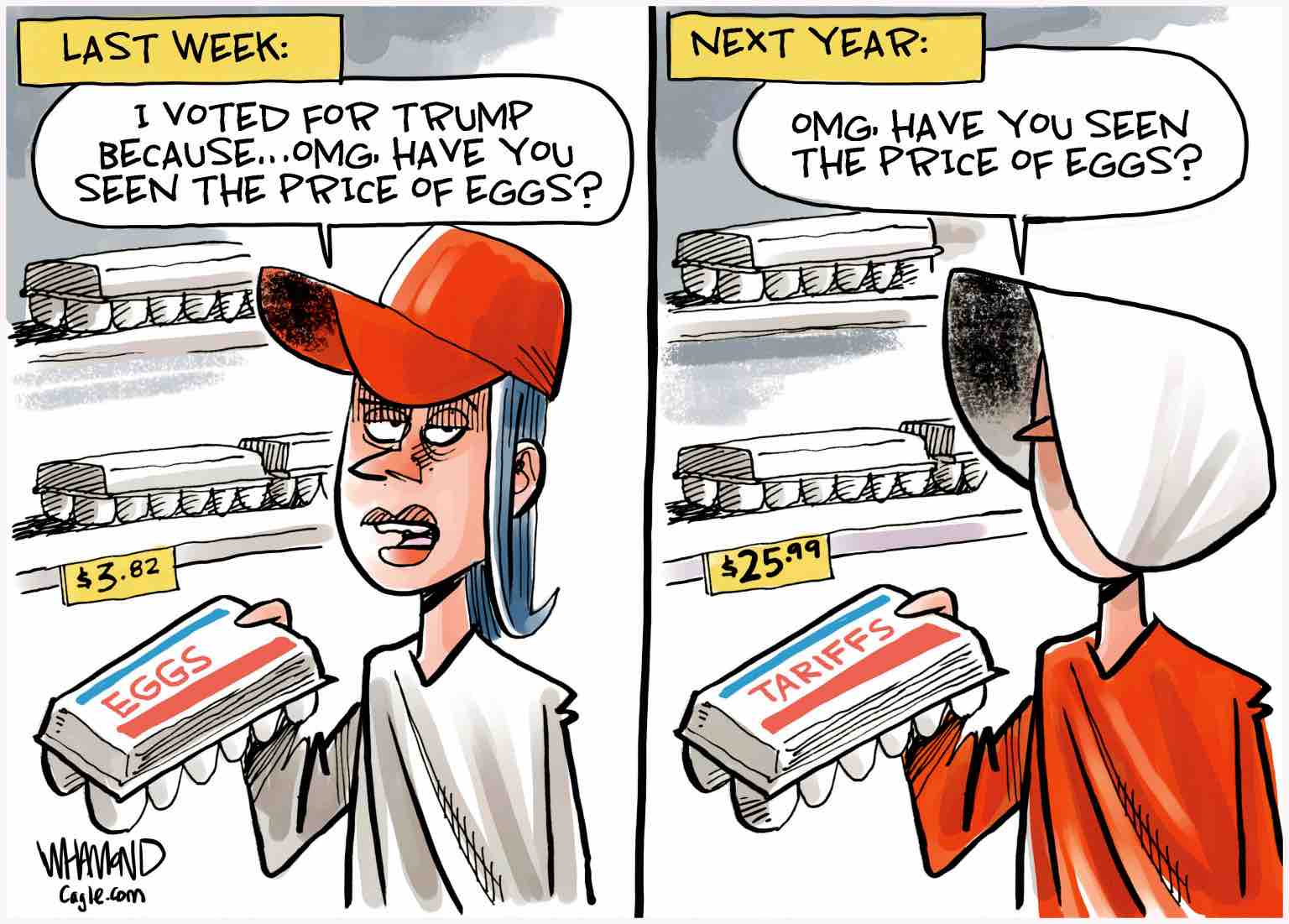 The Fall Of Egg Prices: Dozens Now At $5 In The United States The Fall Of Egg Prices: Dozens Now At $5 In The United States