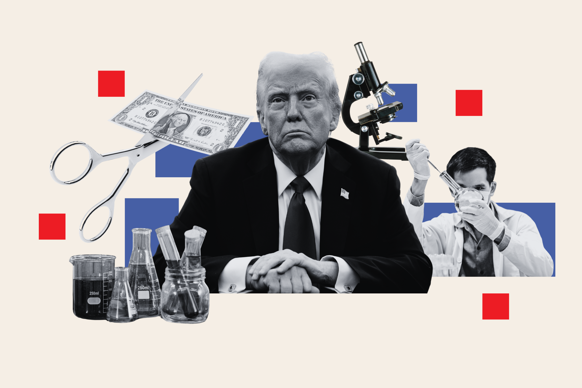 The Future Of Museum Programs Post-Trump Funding Cuts The Future Of Museum Programs Post-Trump Funding Cuts