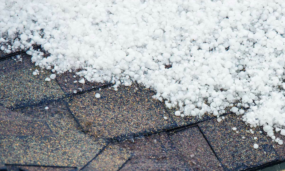 The Impact Of Summer Hailstorms On Residential Landscapes The Impact Of Summer Hailstorms On Residential Landscapes