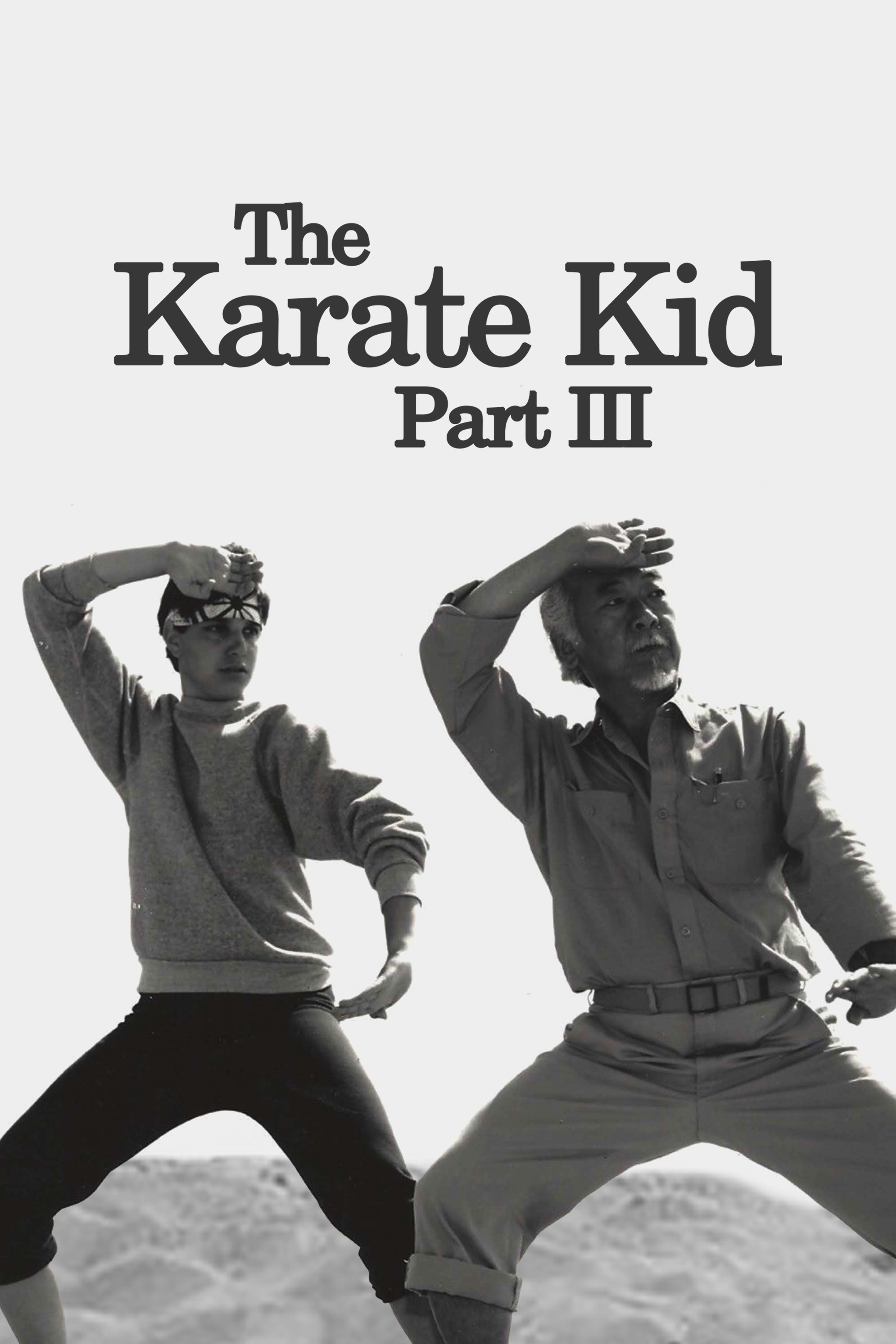 The Karate Kid Part III: Analyzing The Film's Legacy And Impact The Karate Kid Part III: Analyzing The Film's Legacy And Impact