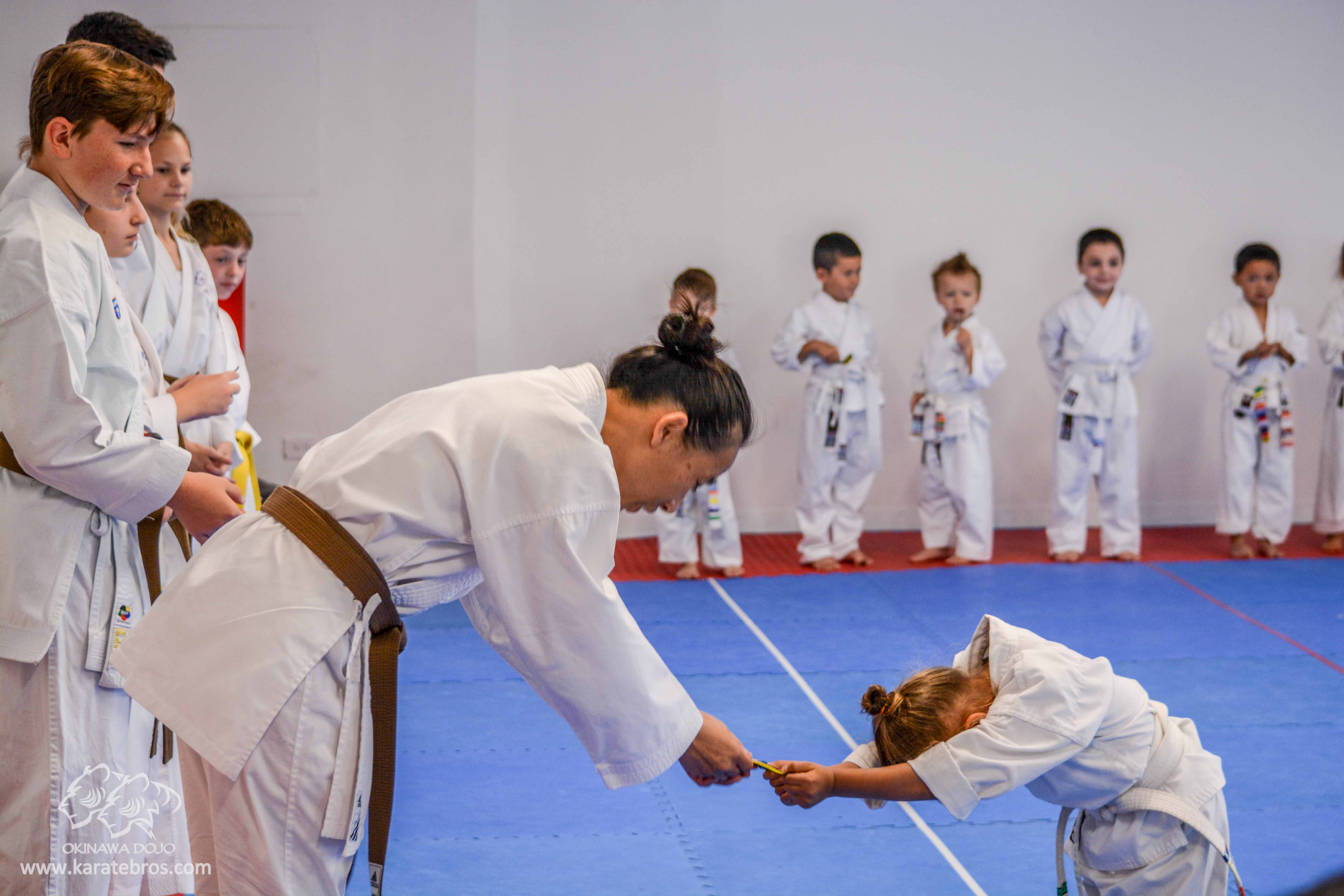 The Karate Kid: Training, Discipline, And Perseverance The Karate Kid: Training, Discipline, And Perseverance