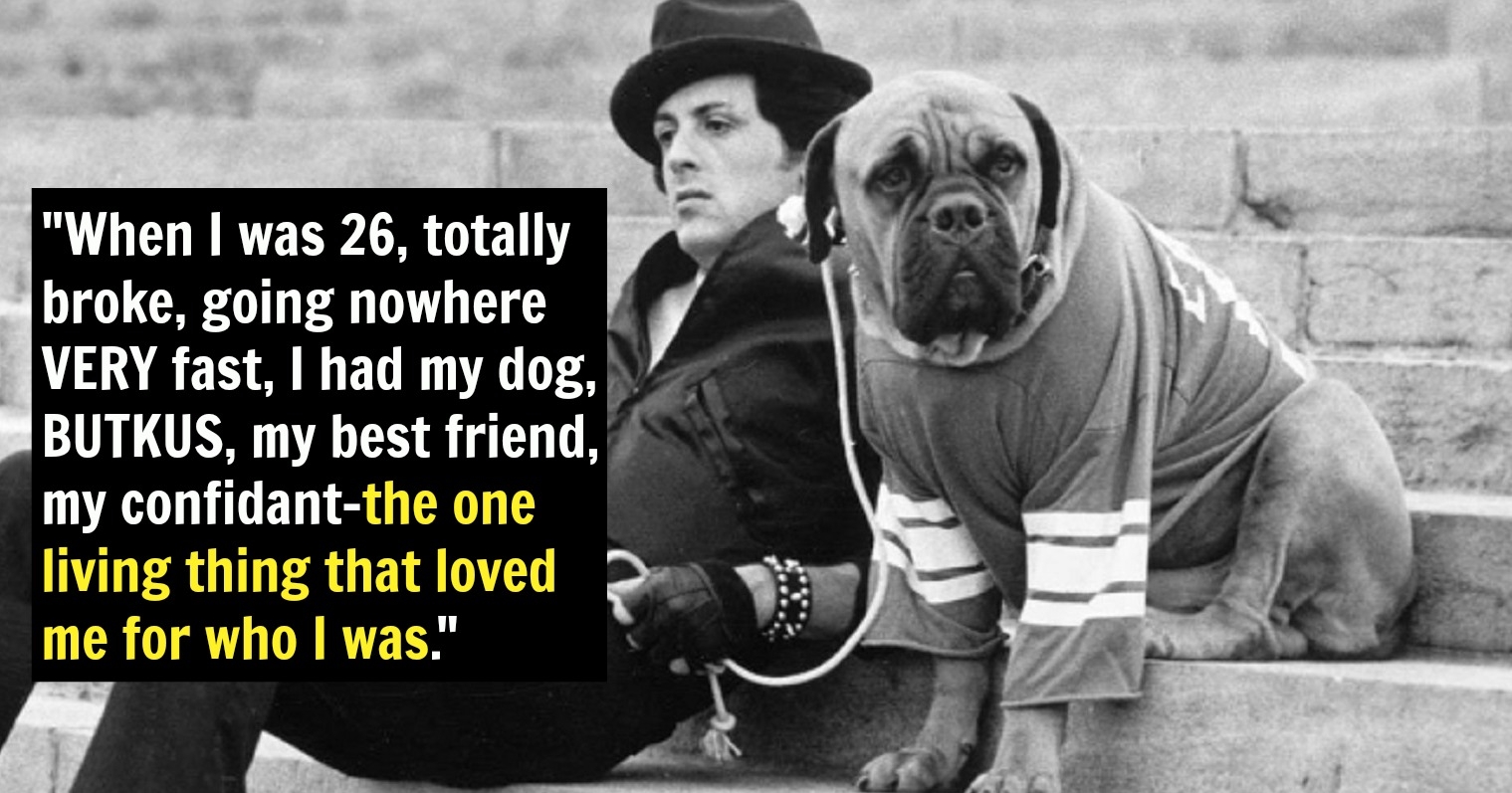 The Most Emotional Rocky Movie: Sylvester Stallone's Personal Favorite Explored The Most Emotional Rocky Movie: Sylvester Stallone's Personal Favorite Explored