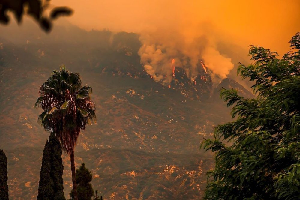 The Socioeconomic Impacts Of Wildfire Betting In Los Angeles The Socioeconomic Impacts Of Wildfire Betting In Los Angeles