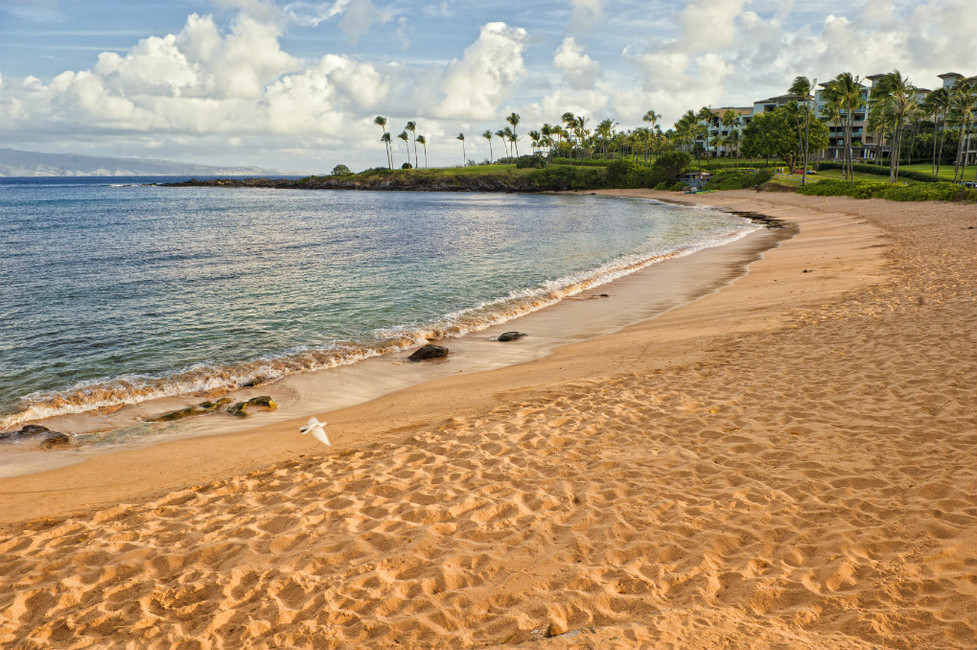 The Ultimate Guide To Dr. Beach's Top 10 US Beaches (2025) The Ultimate Guide To Dr. Beach's Top 10 US Beaches (2025)