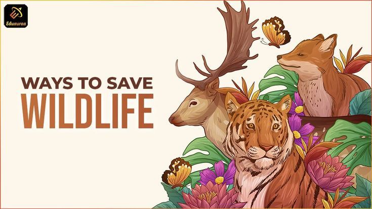 The Wonder Of Animals: Their Behaviors, Habitats, And Conservation The Wonder Of Animals: Their Behaviors, Habitats, And Conservation
