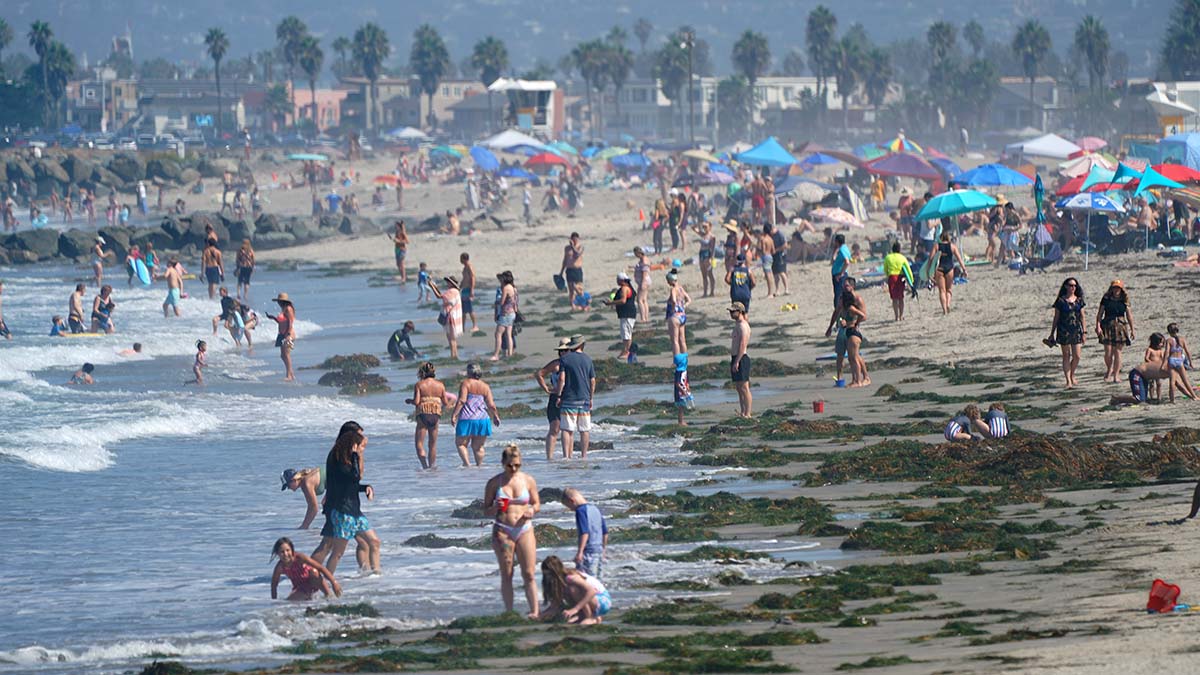 This Weekend's San Diego County Beach Forecast & Activities This Weekend's San Diego County Beach Forecast & Activities