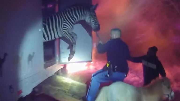 Toddler Choking On Tomato: Dramatic Police Rescue Caught On Bodycam Toddler Choking On Tomato: Dramatic Police Rescue Caught On Bodycam