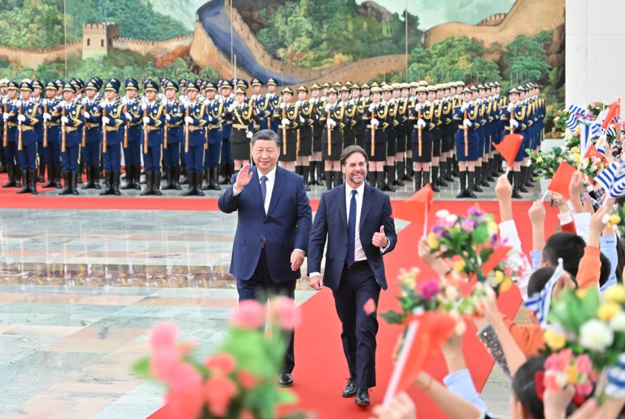 Tres Toros Uruguayos Viajan A China Como Regalo Del Presidente A Xi Jinping Tres Toros Uruguayos Viajan A China Como Regalo Del Presidente A Xi Jinping