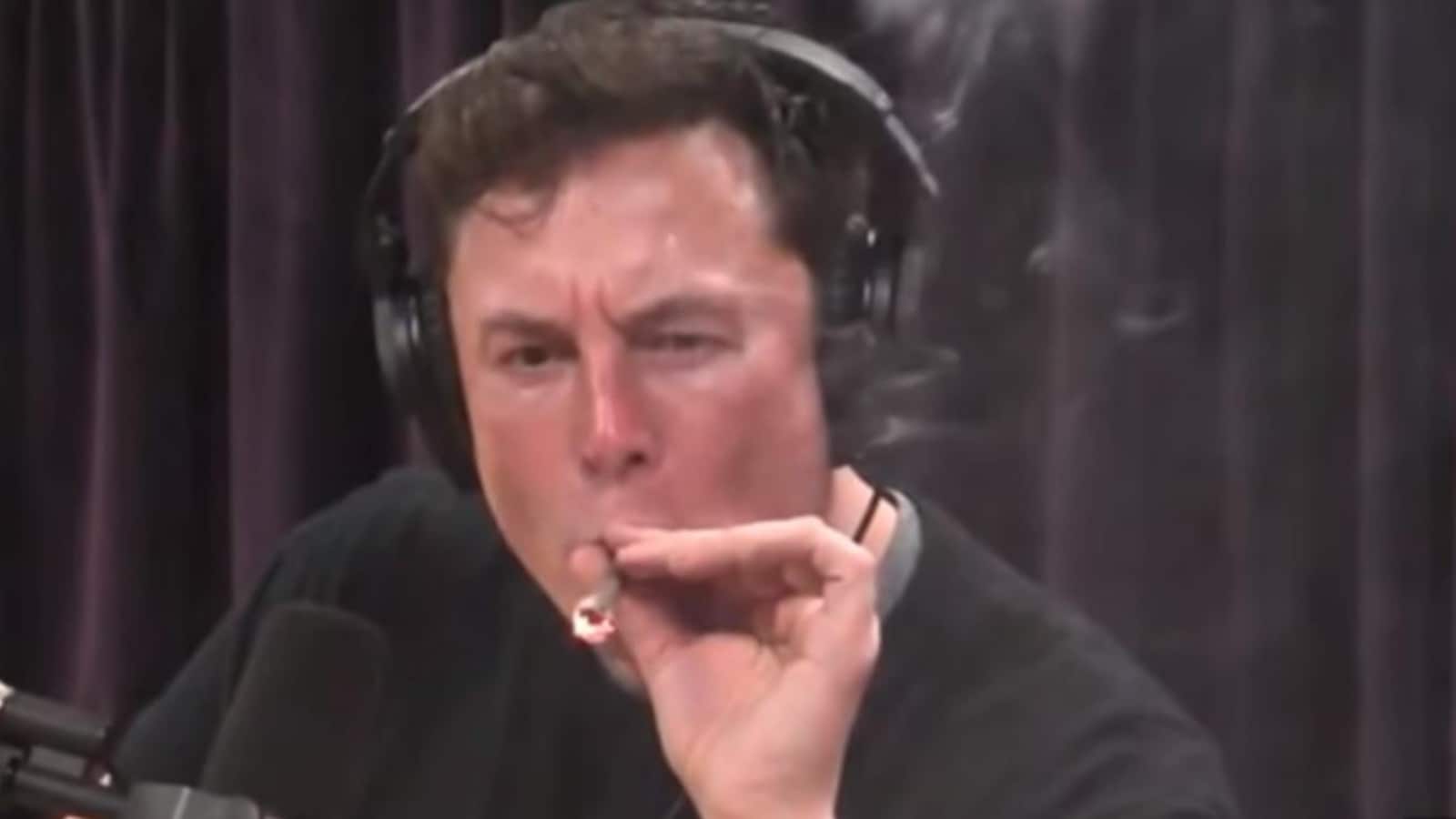 Trump And Musk: Joint Press Conference Planned For Friday Trump And Musk: Joint Press Conference Planned For Friday