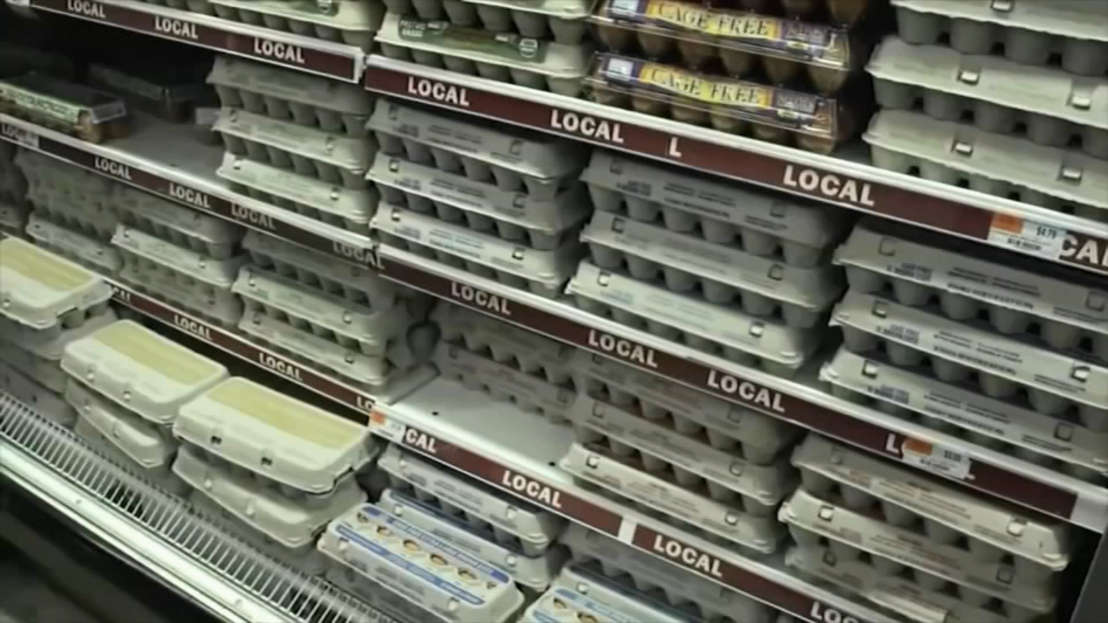Trump's Egg Price Forecast: Fact Or Fiction? A Deeper Look Trump's Egg Price Forecast: Fact Or Fiction? A Deeper Look