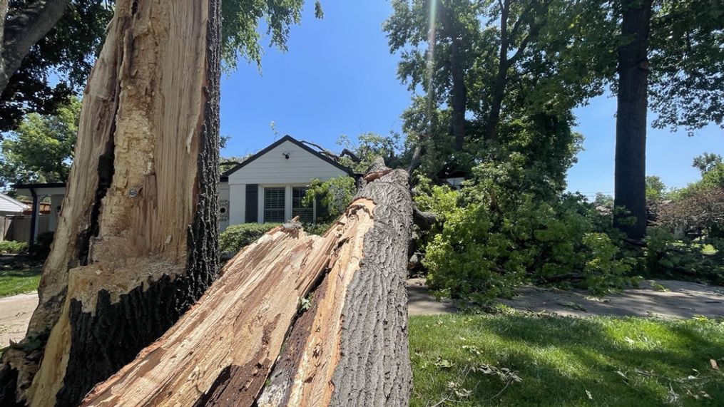 Tulsa Storm Damage Report: Assisting The National Weather Service Tulsa Storm Damage Report: Assisting The National Weather Service