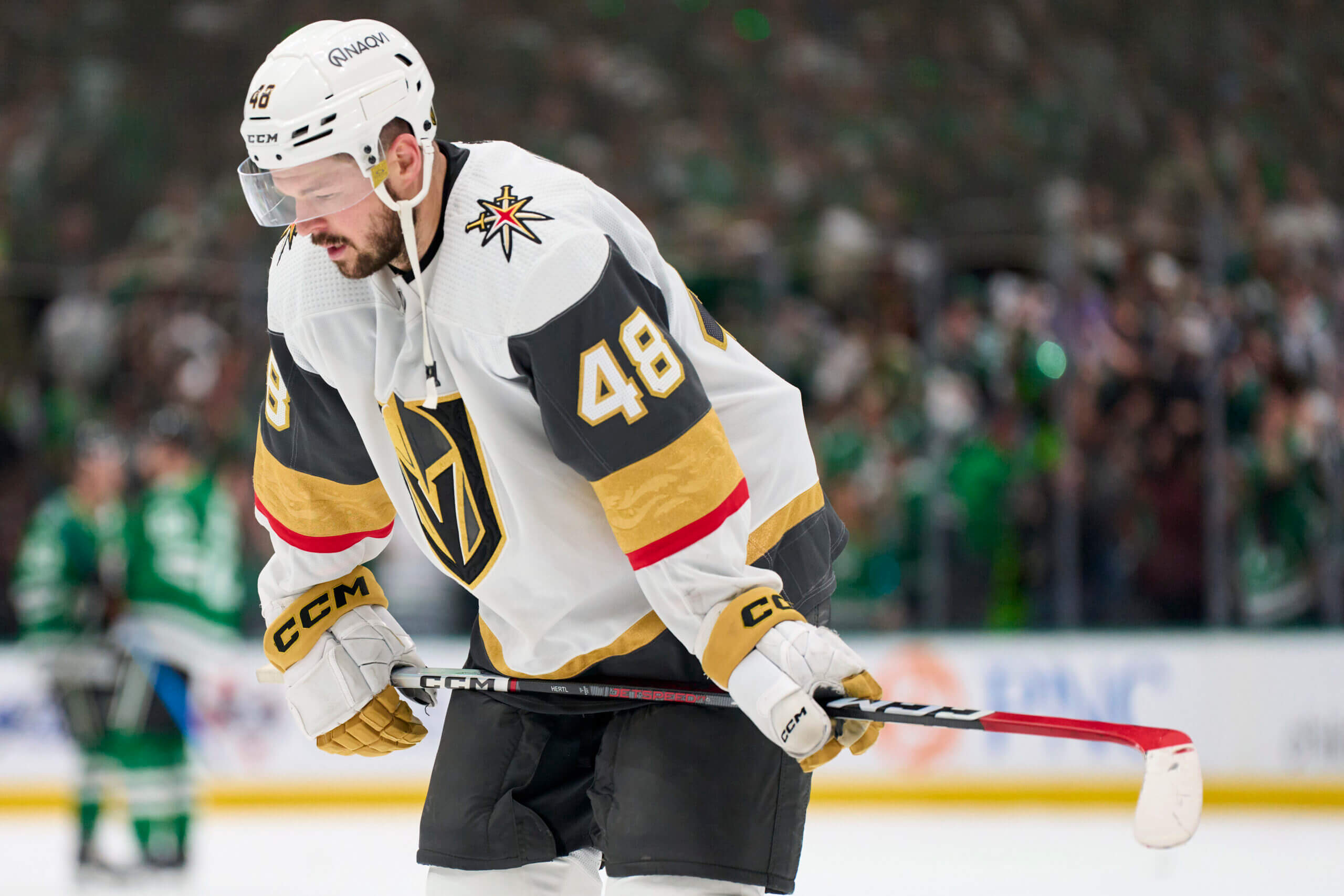 Two Hat Tricks For Hertl As Golden Knights Beat Red Wings Two Hat Tricks For Hertl As Golden Knights Beat Red Wings