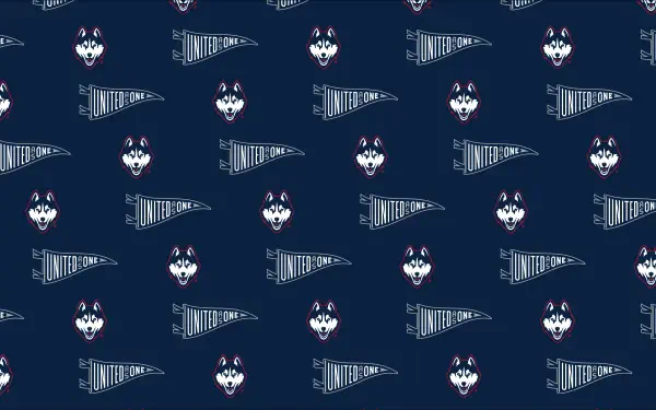 UConn Athletics: Six Teams With Unbeaten Multi-Year APR Records UConn Athletics: Six Teams With Unbeaten Multi-Year APR Records