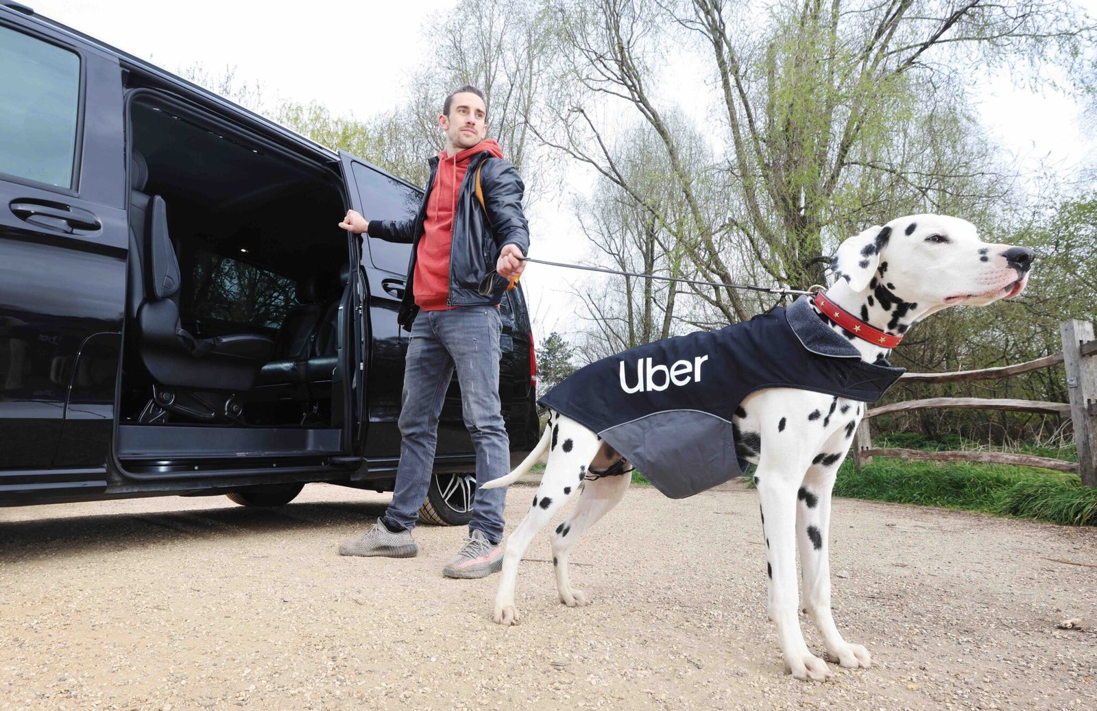 Uber Pet: New Cities Added - Delhi And Mumbai Uber Pet: New Cities Added - Delhi And Mumbai