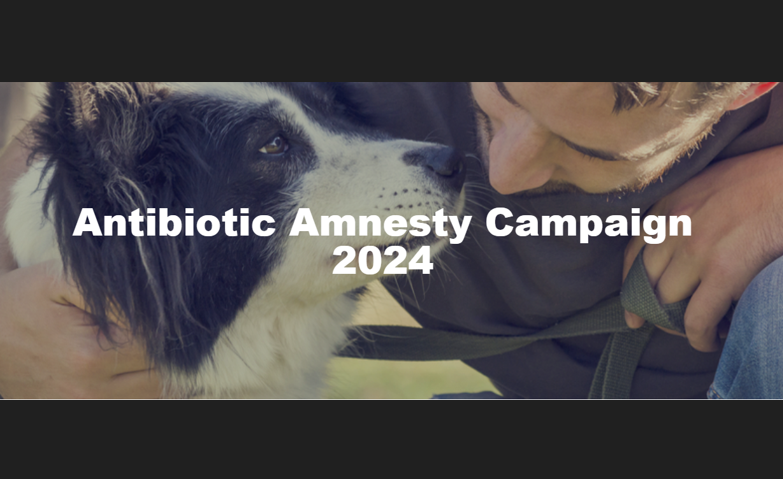 UK Pet Owners Face Higher Bills: The Role Of Corporate Veterinary Structures UK Pet Owners Face Higher Bills: The Role Of Corporate Veterinary Structures