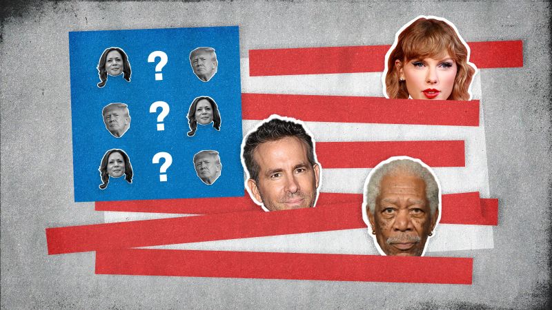 Understanding Misinformation Resistance: Expert Insights From CNN Understanding Misinformation Resistance: Expert Insights From CNN