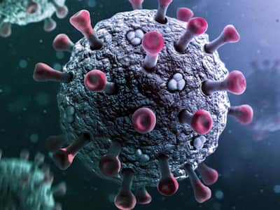 Understanding The JN.1 COVID-19 Variant: Symptoms And Prevention In India Understanding The JN.1 COVID-19 Variant: Symptoms And Prevention In India