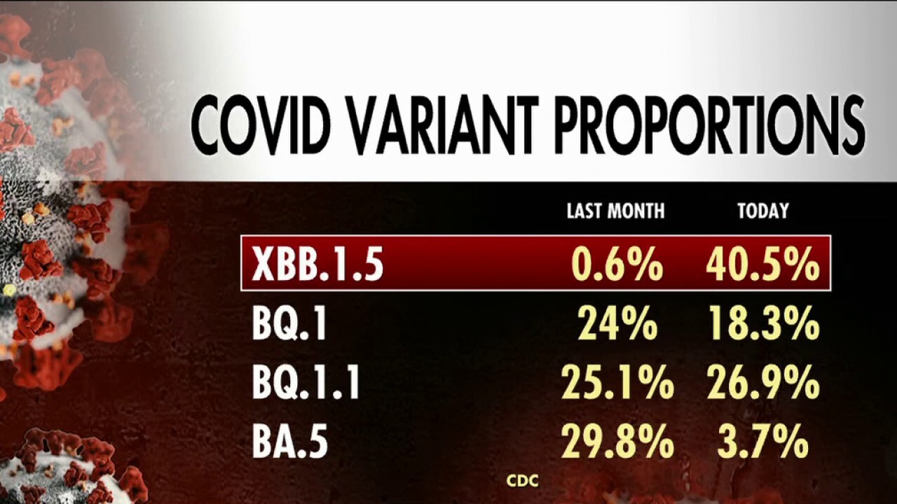 Understanding The Rising COVID-19 Variant LP.8.1 Understanding The Rising COVID-19 Variant LP.8.1
