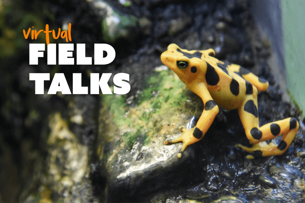 University Of Maryland Commencement: A Famous Amphibian To Speak University Of Maryland Commencement: A Famous Amphibian To Speak