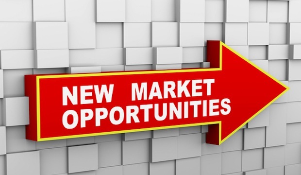 Untapped Potential: Exploring New Business Hotspots In [Country Name]
