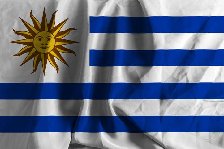 Uruguay's New President Orsi Vows Balanced Economic Reform Uruguay's New President Orsi Vows Balanced Economic Reform