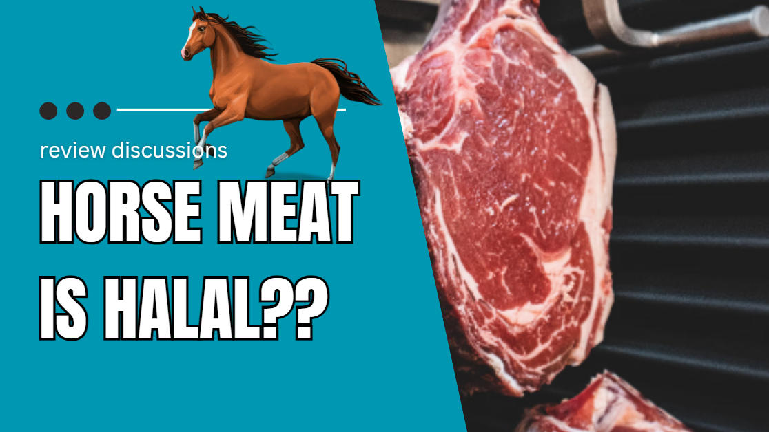Vegan Ethics And The Halal Meat Industry: A Necessary Discussion Vegan Ethics And The Halal Meat Industry: A Necessary Discussion
