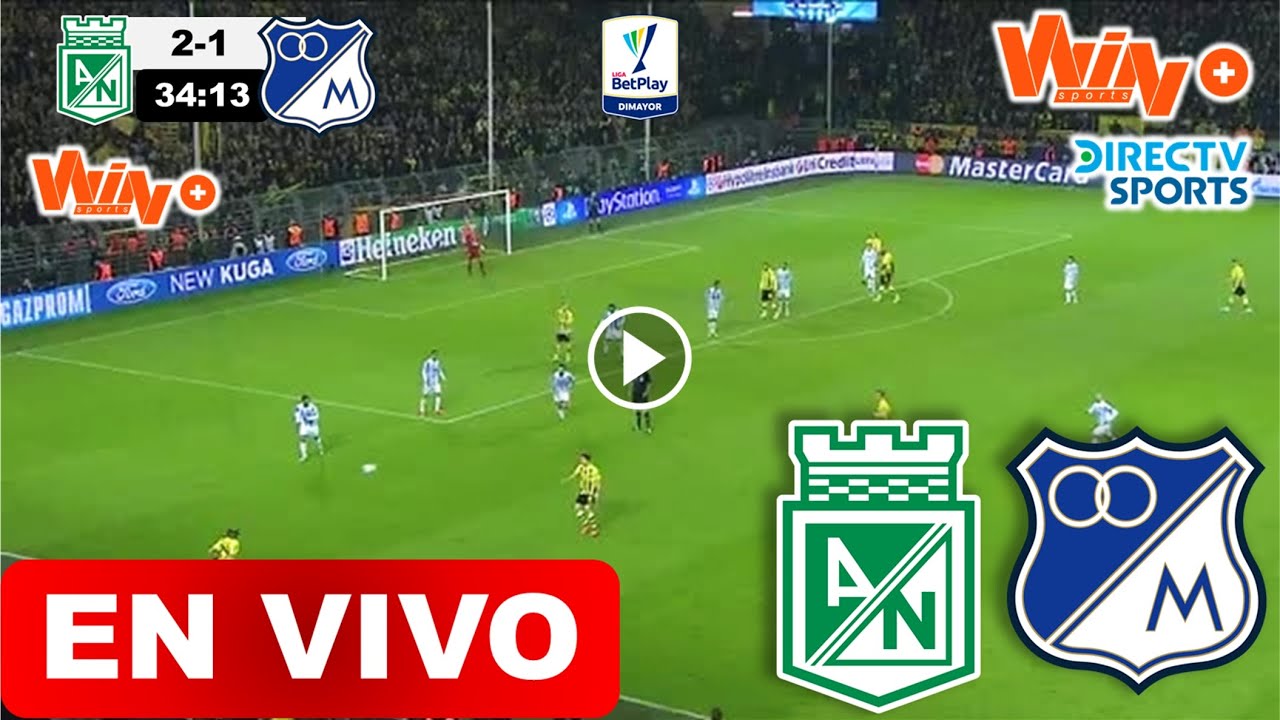 Venezia - Nápoles: Cómo Ver El Partido En Vivo Venezia - Nápoles: Cómo Ver El Partido En Vivo
