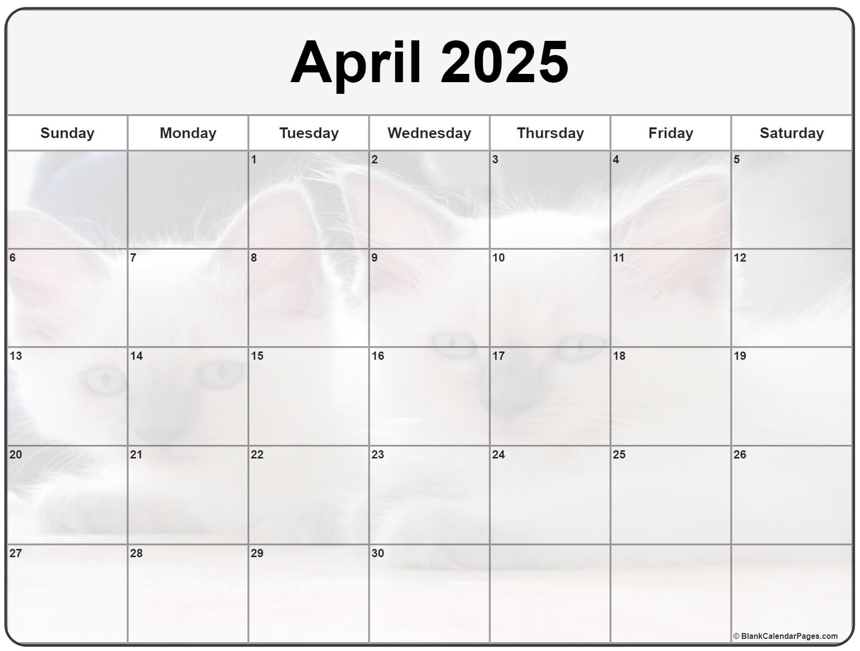Vont Weekend At 104.5 The Cat: Photos From April 4-6, 2025 Vont Weekend At 104.5 The Cat: Photos From April 4-6, 2025
