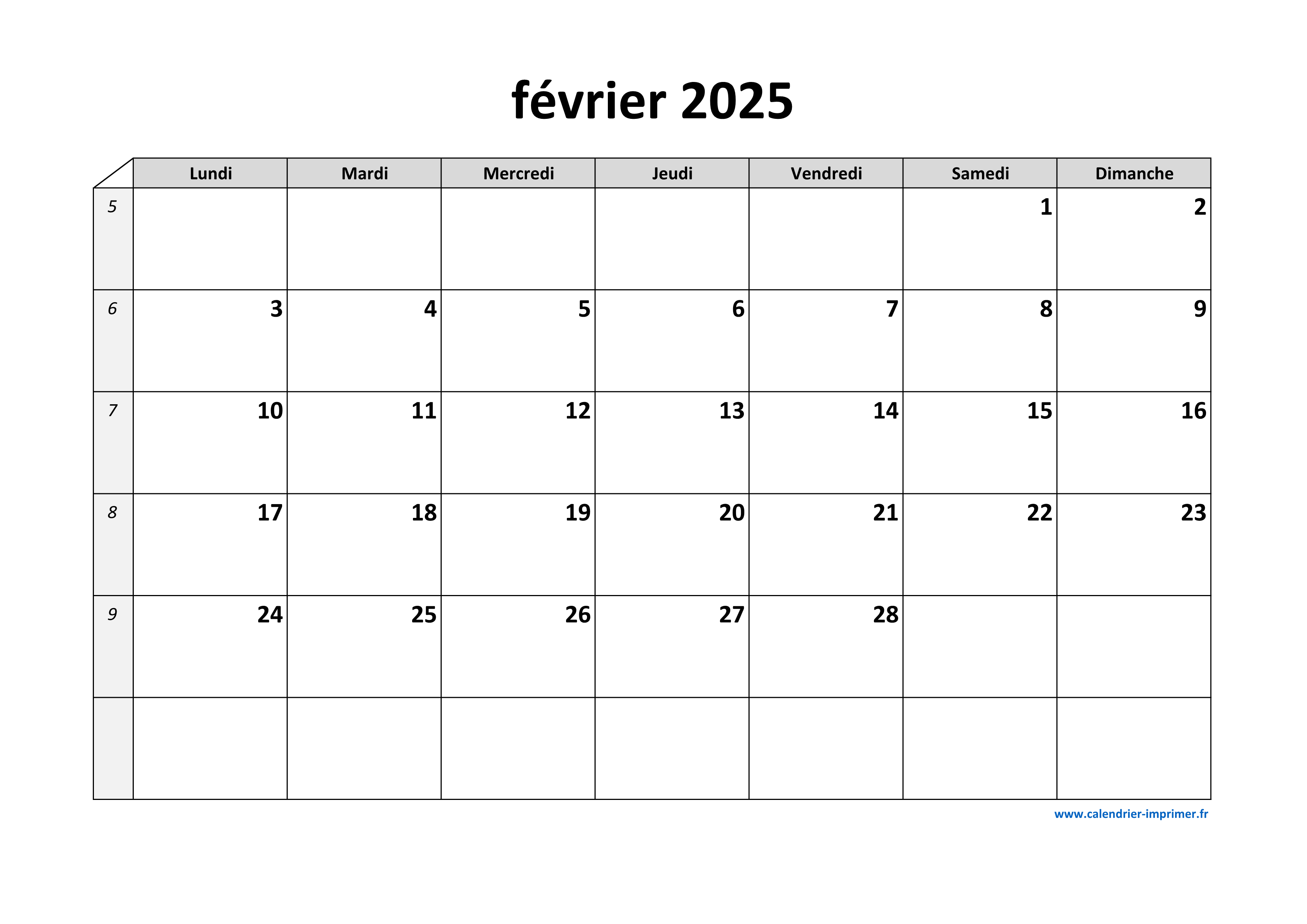 VusionGroup AMF CP Document 2025E1027277: Analyse Du 24 Mars 2025