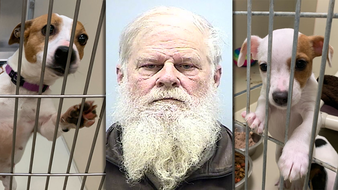 Washington County Breeder's License Revoked Following Seizure Of 49 Dogs Washington County Breeder's License Revoked Following Seizure Of 49 Dogs